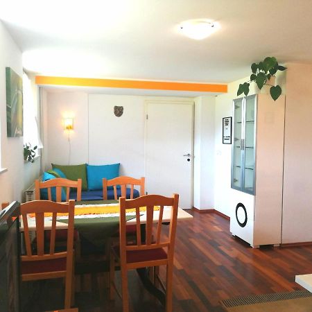 Mateja House - Apartments In Zirovnica Rodine Esterno foto