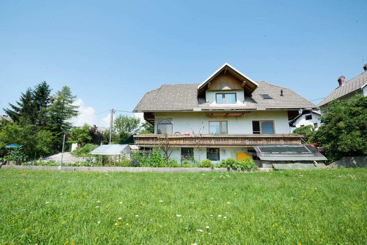 Mateja House - Apartments In Zirovnica Rodine Esterno foto